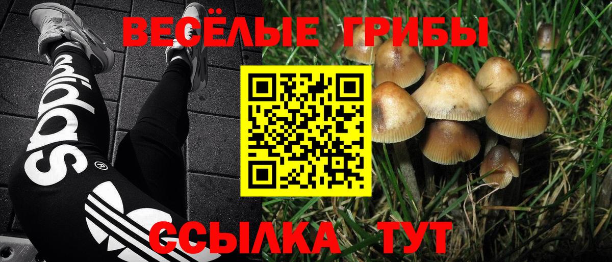 Псилоцибиновые грибы GOLDEN TEACHER  Вход с VPN  Галлюциногенные грибы Psilocybine cubensis  Новоуральск 